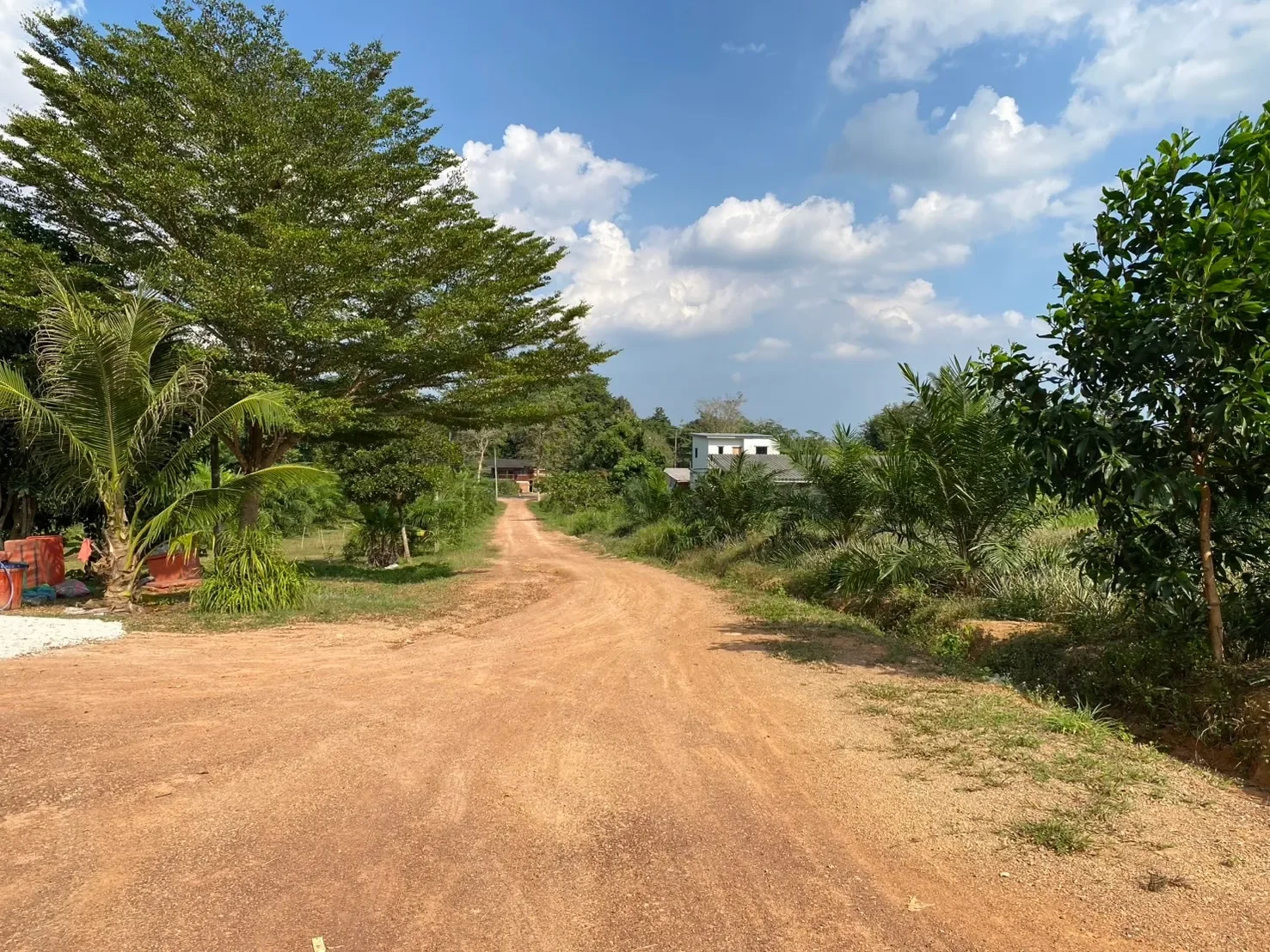 8-0-0 Rai Land with Nature Surrounding For Sale in Sai Thai, Krabi