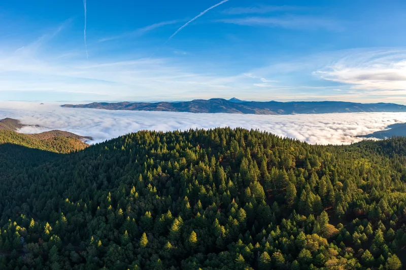 2155 Ashland Mine Road, Ashland, OR, 97520, USA, Ashland, Oregon, United States. - Photo 20