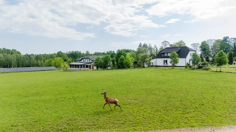 Saulstari, Sigulda, 091, More, Sigulda Municipality, Latvia. - Photo 38