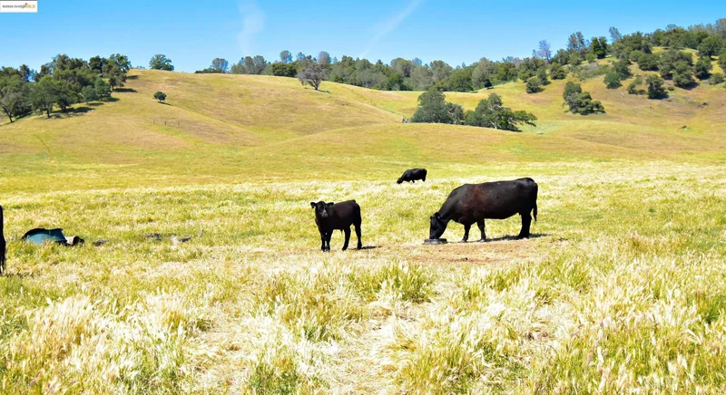 9325 Fraguero, Sonora, California, United States. - Photo 14