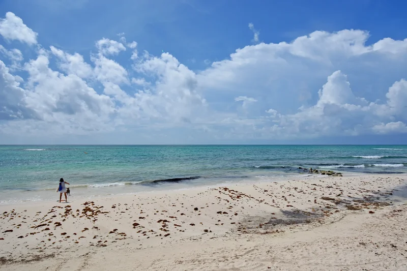 Okol Paraíso No.  9-B , Lt 066, Mza 001, de la avenida Playa Paraíso, Playa del Carmen, ROO 77728, Playa Paraiso, Quintana Roo, Mexico. - Photo 61