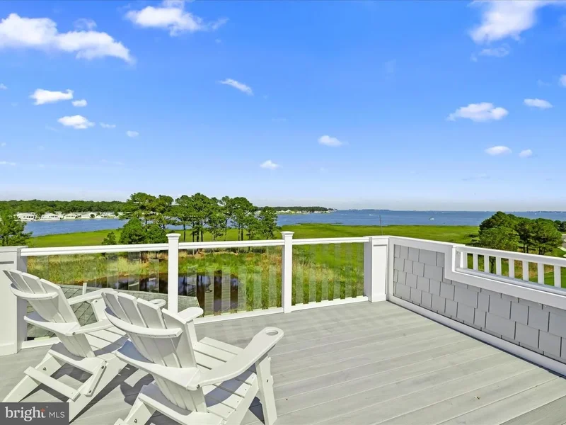 33596 SAND DOLLAR DR, MILLSBORO, DE, 19966, USA, Millsboro, Delaware, United States. - Photo 60