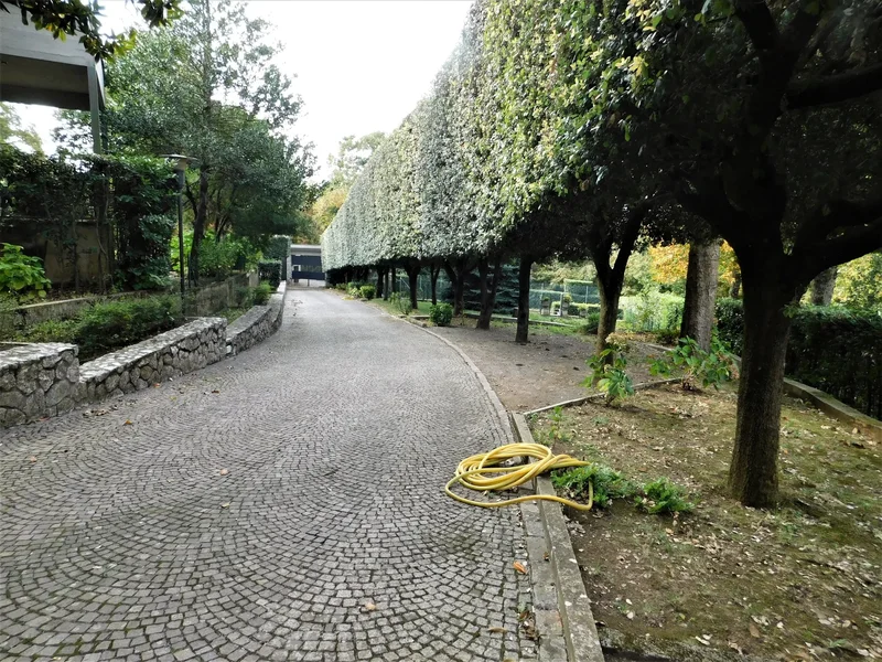 viale dell'agrifoglio, Ariccia, Lazio, Italy. - Photo 17