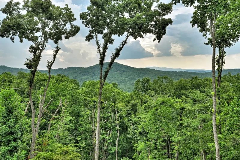 415 Green Ridge Trail, Blue Ridge, GA 30513, Blue Ridge, Georgia, United States. - Photo 43