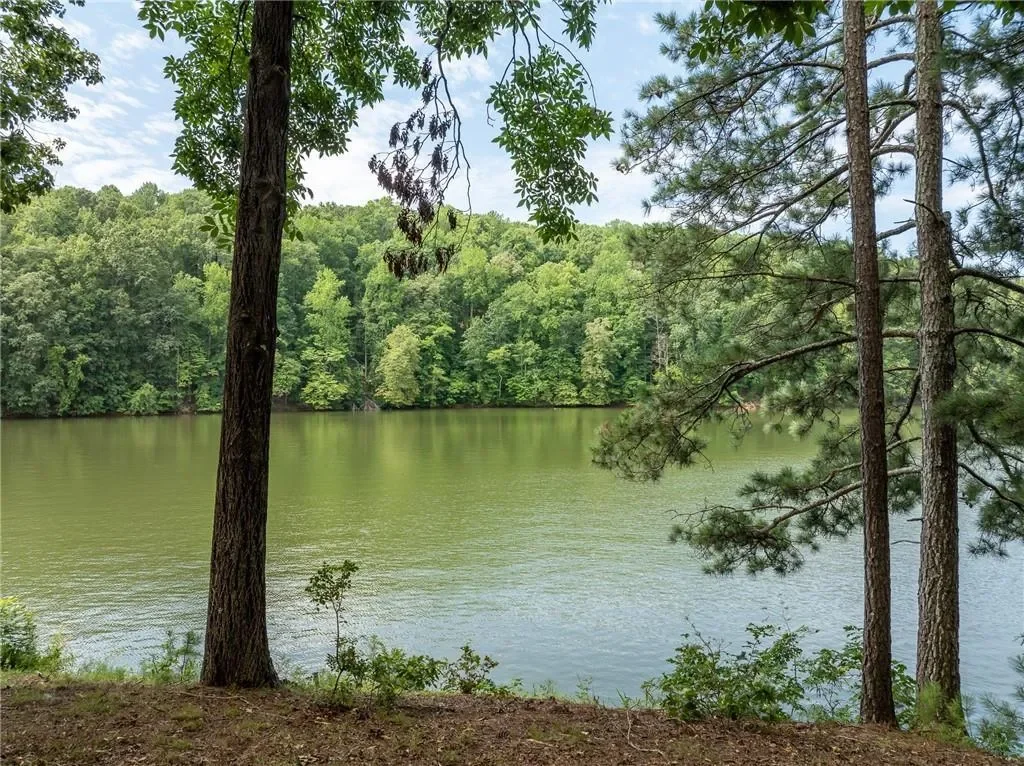 452 Brookwood Drive W, Cumming, Georgia, United States. - Photo 40