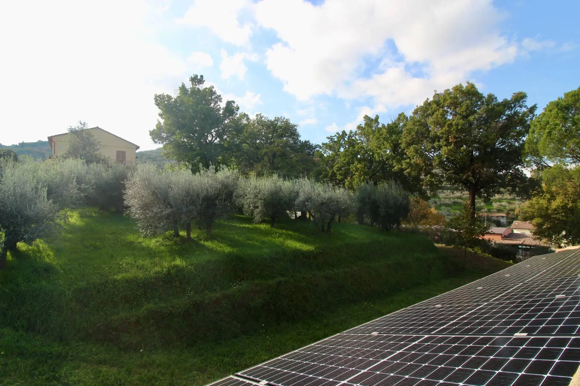 palazzetta, Umbria, Italy. - Photo 6