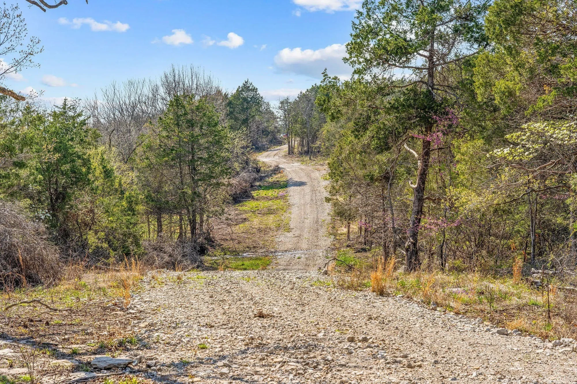 000 Tbd State Hwy J, Kirbyville, MO 65679, Kirbyville, Missouri, United States. - Photo 47