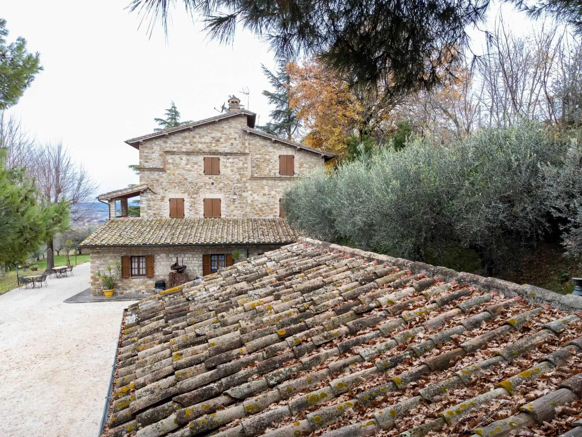 Via Santa Tecla, Assisi, PG 06081, San Damiano, Umbria, Italy. - Photo 30