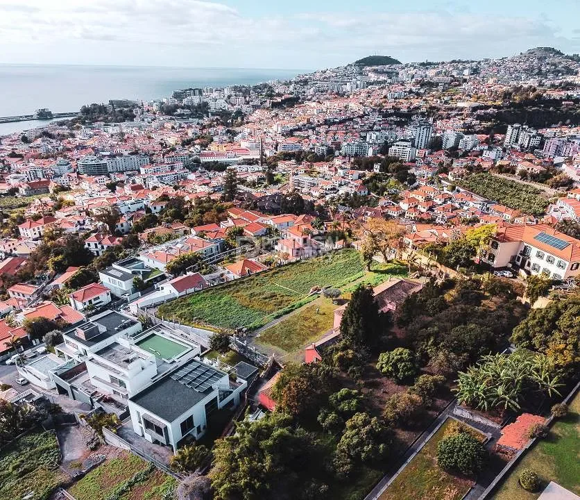 Funchal, Madeira, Funchal, Se, Madeira, Portugal. - Photo 24