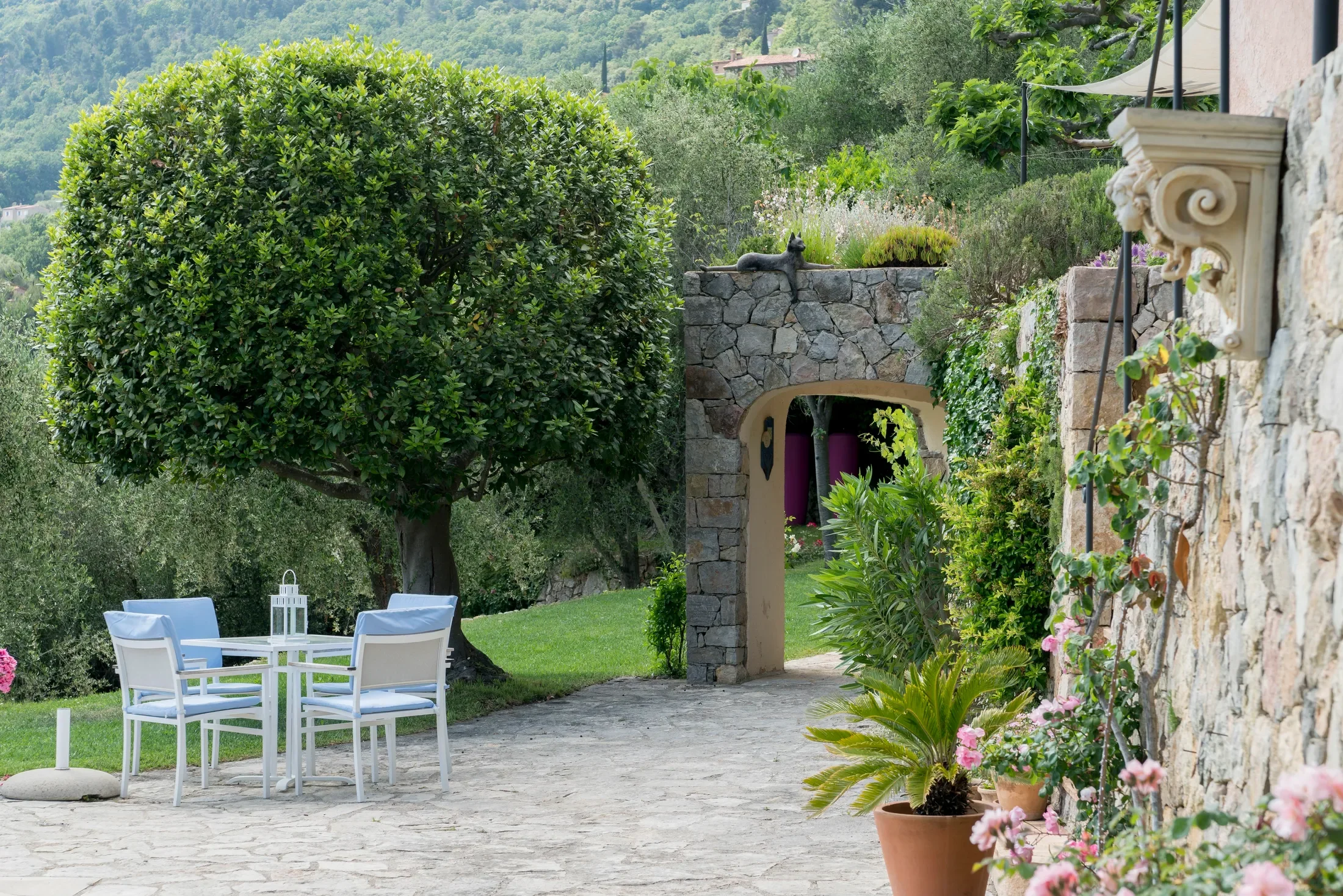Provence, France, French Riviera, Provence-Alpes-Côte d'Azur, France. - Photo 16