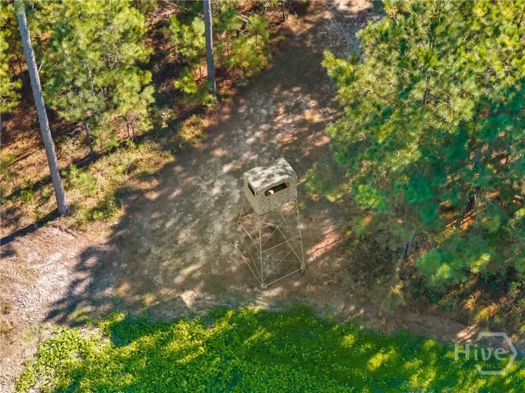 0 Honey Ridge Road, Millen, Georgia, United States. - Photo 52