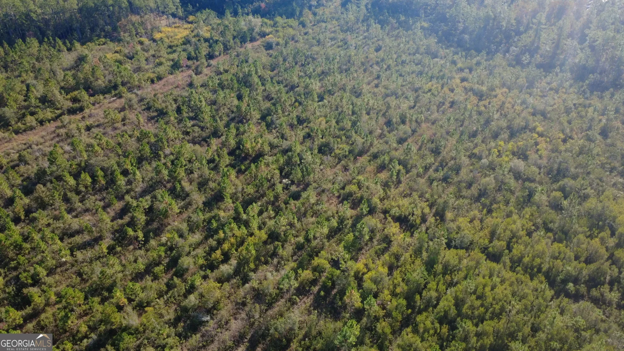 0 Fargo Highway, Homerville, GA 31634, Homerville, Georgia, United States. - Photo 2