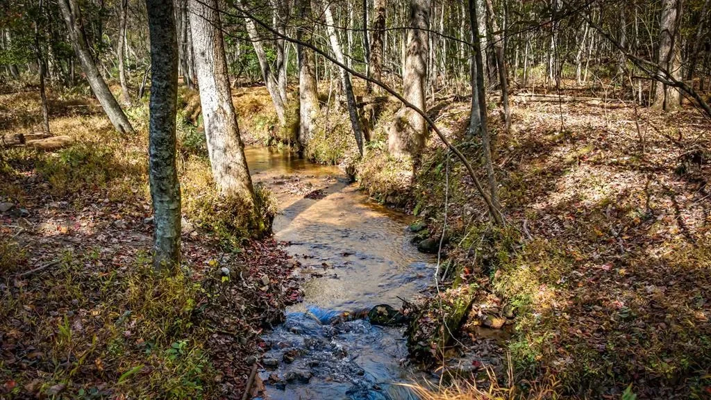212 Dogpatch Lane, Blue Ridge, Georgia, United States. - Photo 6