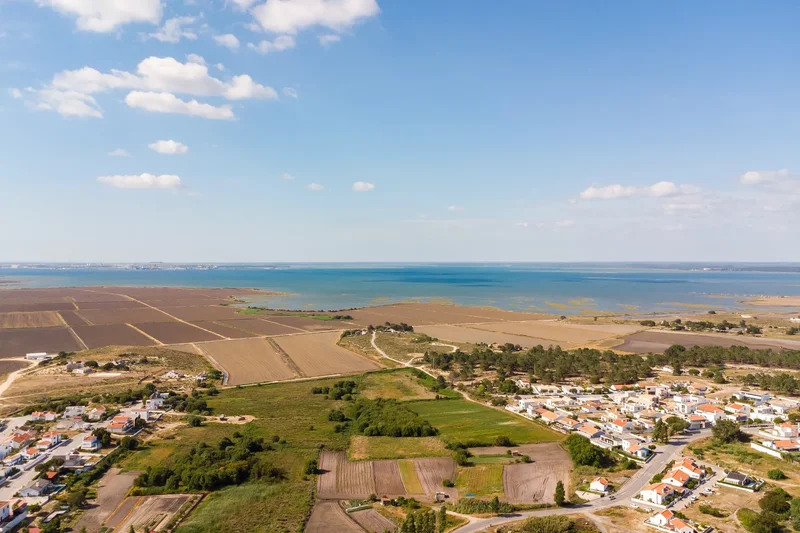 Comporta, Setubal, Portugal. - Photo 23