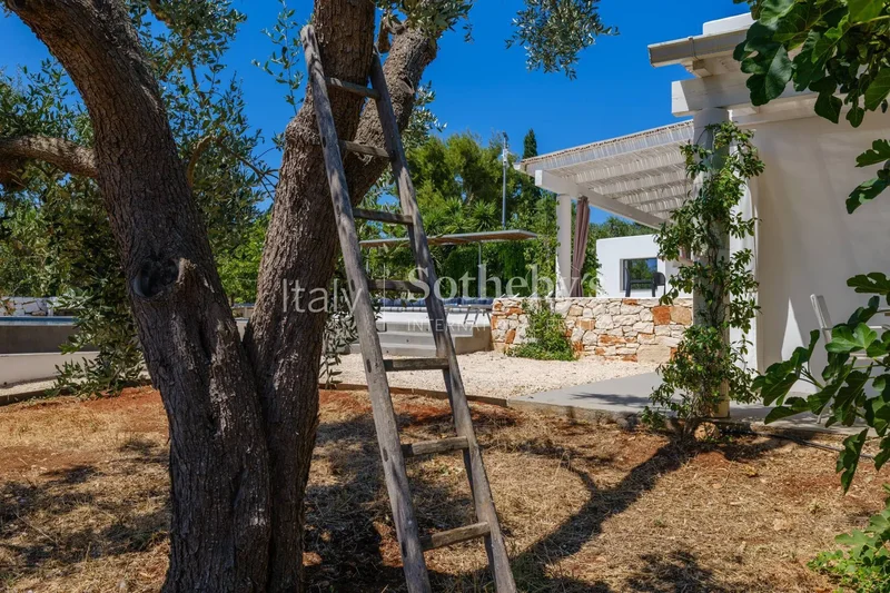 Contrada Monte Allegro, Ceglie Messapica, BR 72013, Apulia, Italy. - Photo 12
