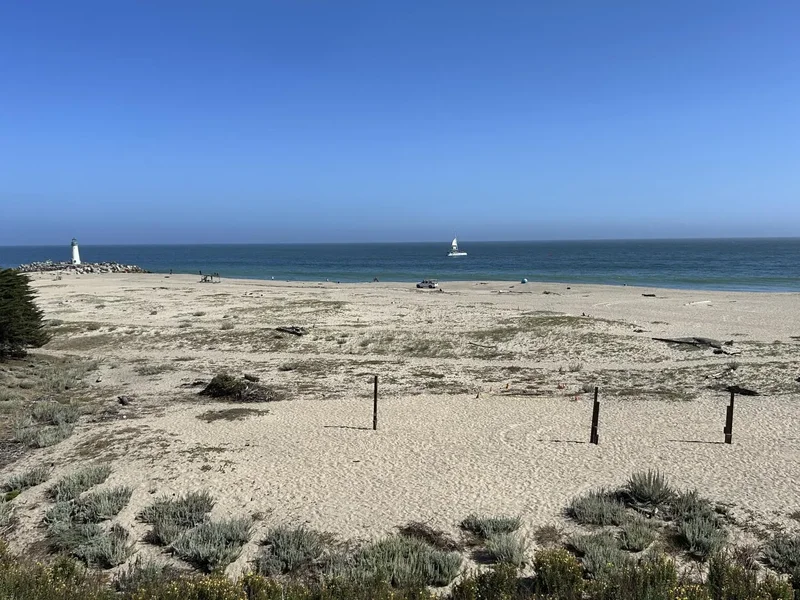 207 2nd Avenue, Santa Cruz, California, United States. - Photo 27