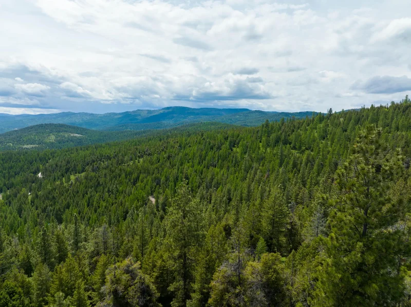 NHN Copper Road, Kalispell, Montana, United States. - Photo 12