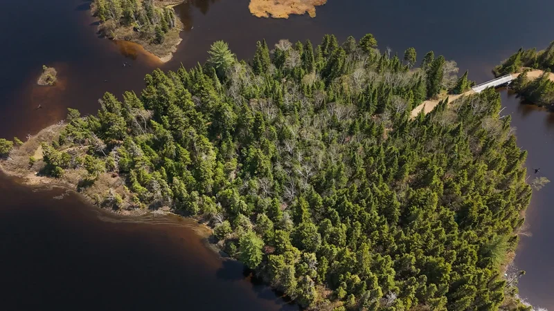 1620Z Route 125 N., Saint-Donat-de-Montcalm, Quebec, Canada. - Photo 11