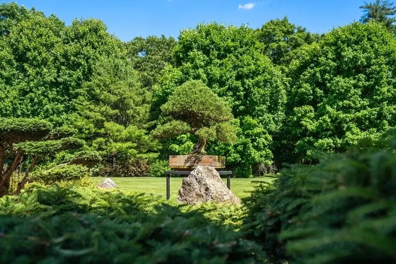 495 Hugh Cargill Rd, Concord, MA 01742, Concord, Massachusetts, United States. - Photo 3