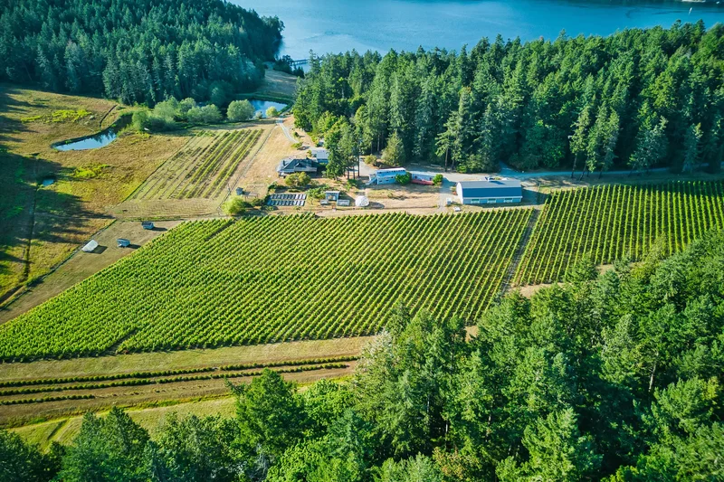 3200 Clam Bay Road, Pender Island, BC V0M2M1, Pender Island, British Columbia, Canada. - Photo 69