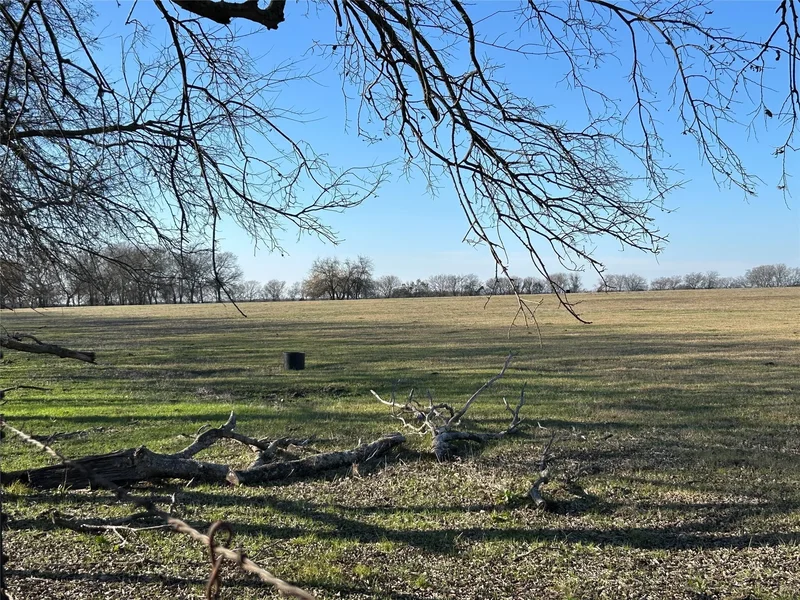 TBD TX-160 #1, Whitewright, TX 75491, Whitewright, Texas, United States. - Photo 4