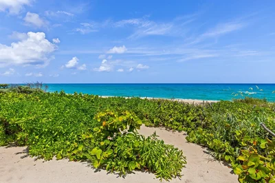 Thumbnail 106