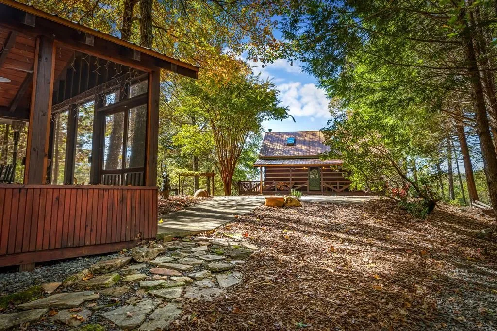 212 Dogpatch Lane, Blue Ridge, Georgia, United States. - Photo 52