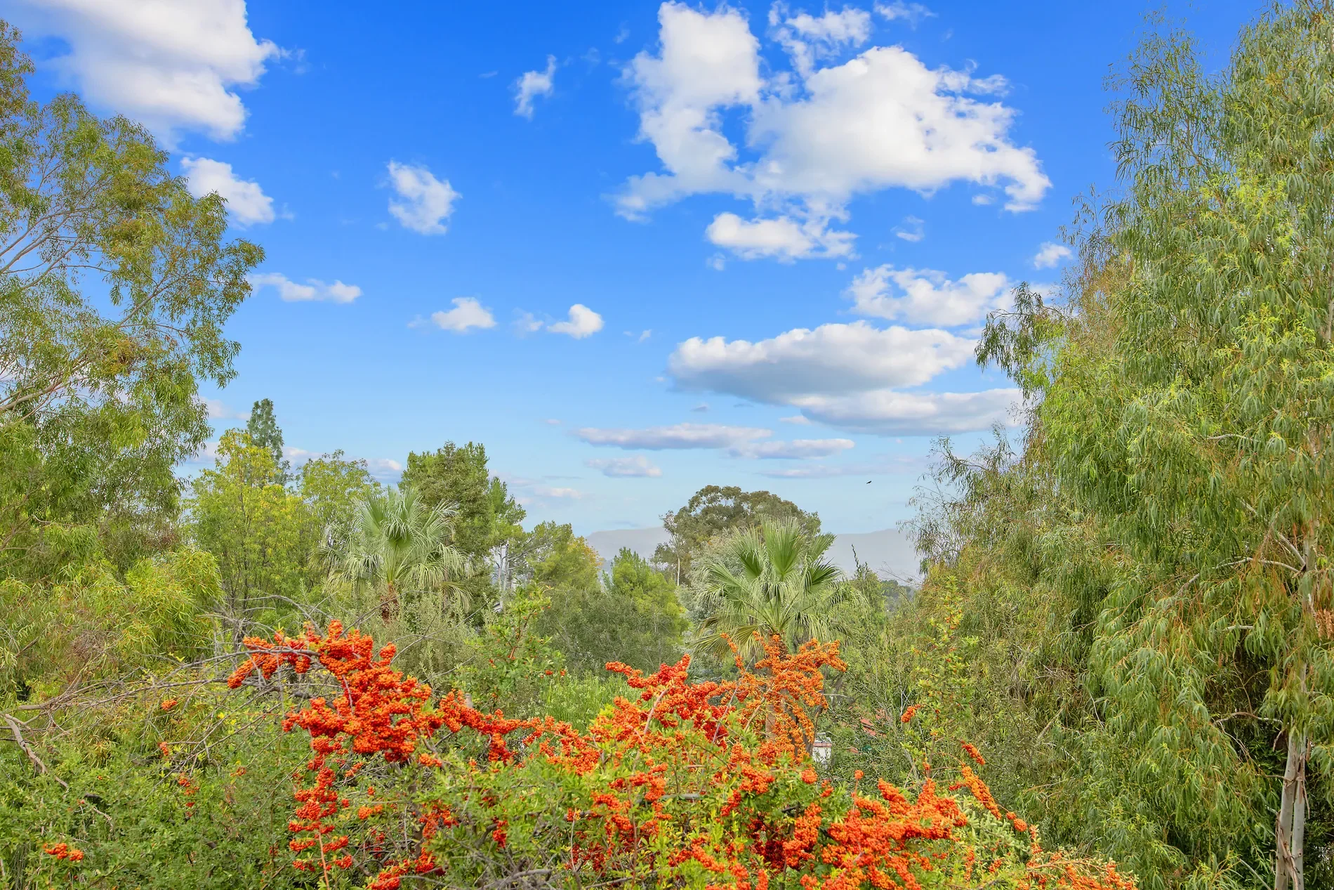 23325 Bessemer Street, Woodland Hills, CA 91367, Los Angeles, California, United States. - Photo 31