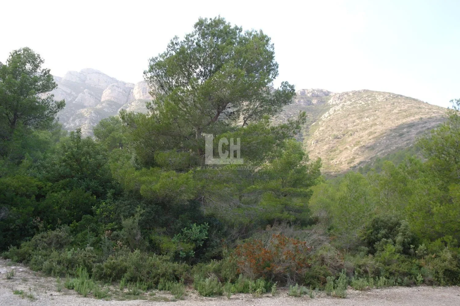 Favara, Valencian Community, Spain. - Photo 24