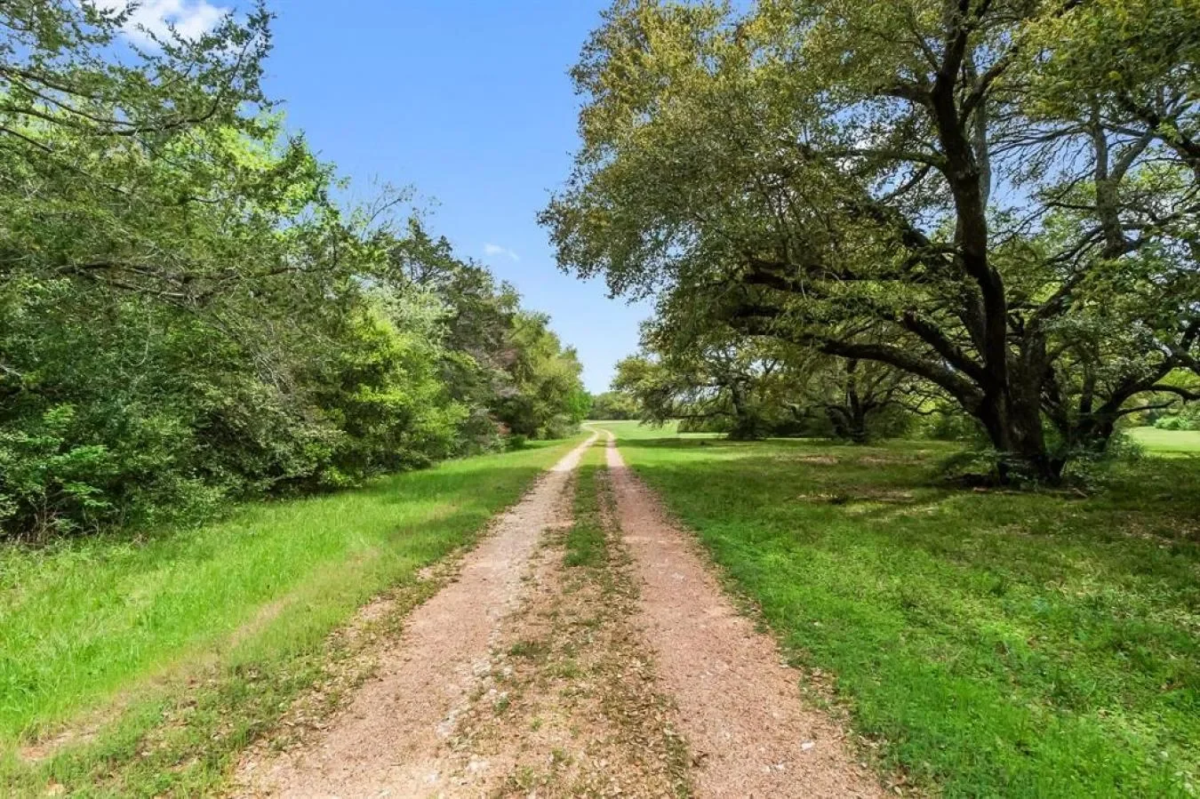 2982 Fm 2935 Road, Brenham, Texas, United States. - Photo 3