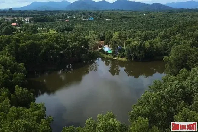 Phang Nga,, Thai Mueang, Phang-nga, Thailand. - Photo 3