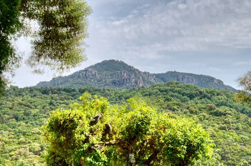 Fréjus, Provence-Alpes-Côte d'Azur, France. - Photo 27
