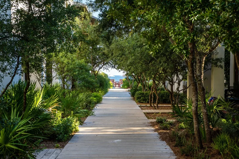 Santa Rosa Beach, Florida, United States. - Photo 61