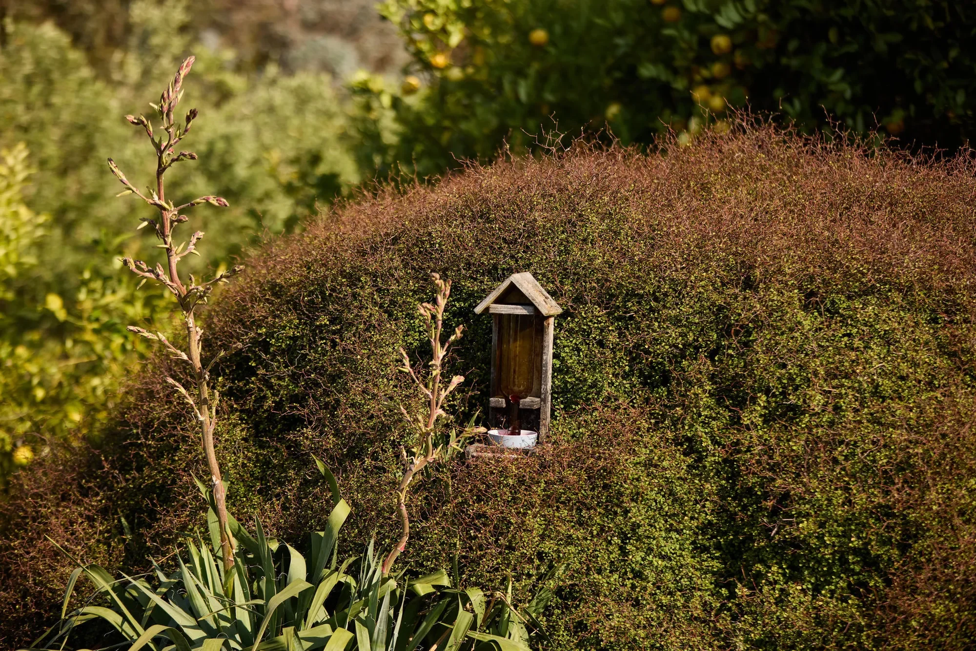 Property photo 11