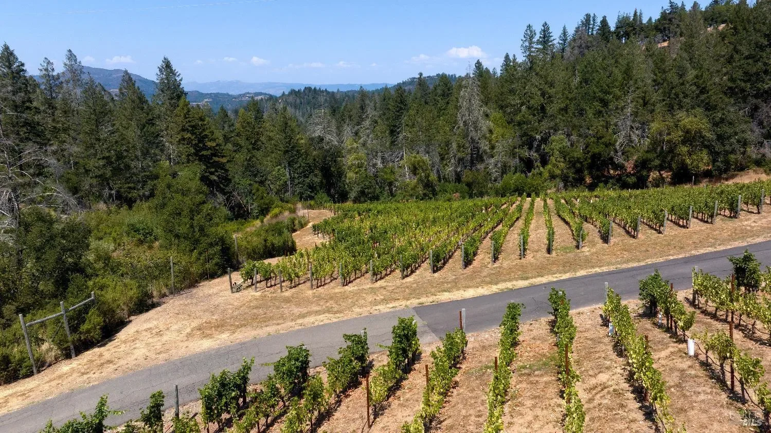 3000 Mount Veeder Road, Napa, California, United States. - Photo 42