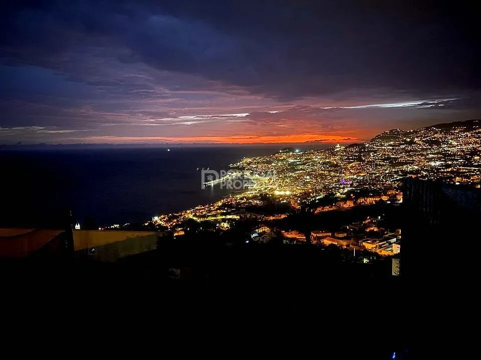 Funchal, Madeira, Funchal, Se, Madeira, Portugal. - Photo 6