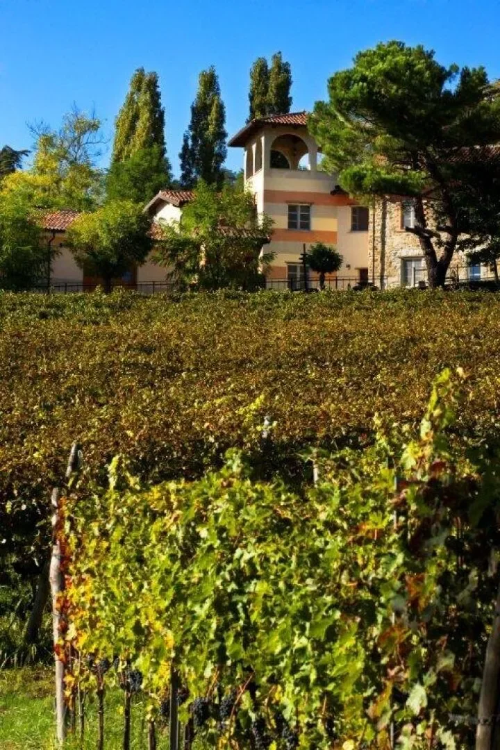 Cremolino, Piedmont, Italy. - Photo 13