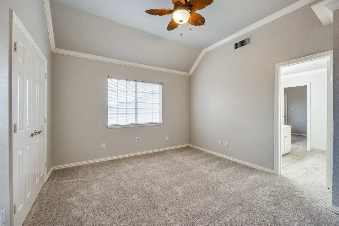 Gallery photo 5