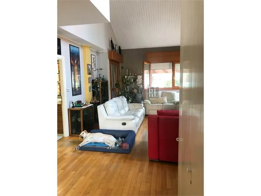 Gallery photo 7