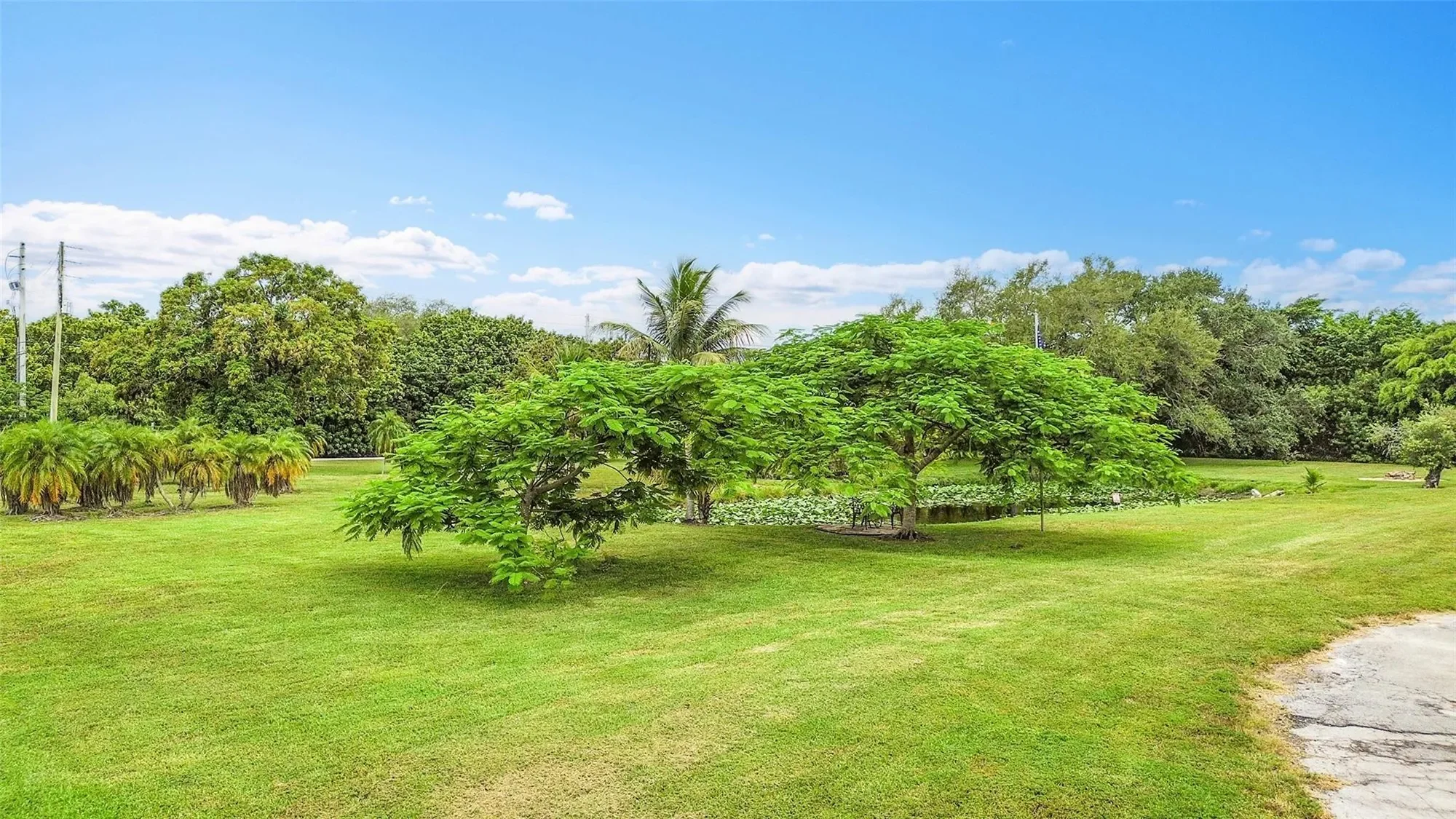 1201 N Old Hiatus Rd, Plantation, Florida, United States. - Photo 45