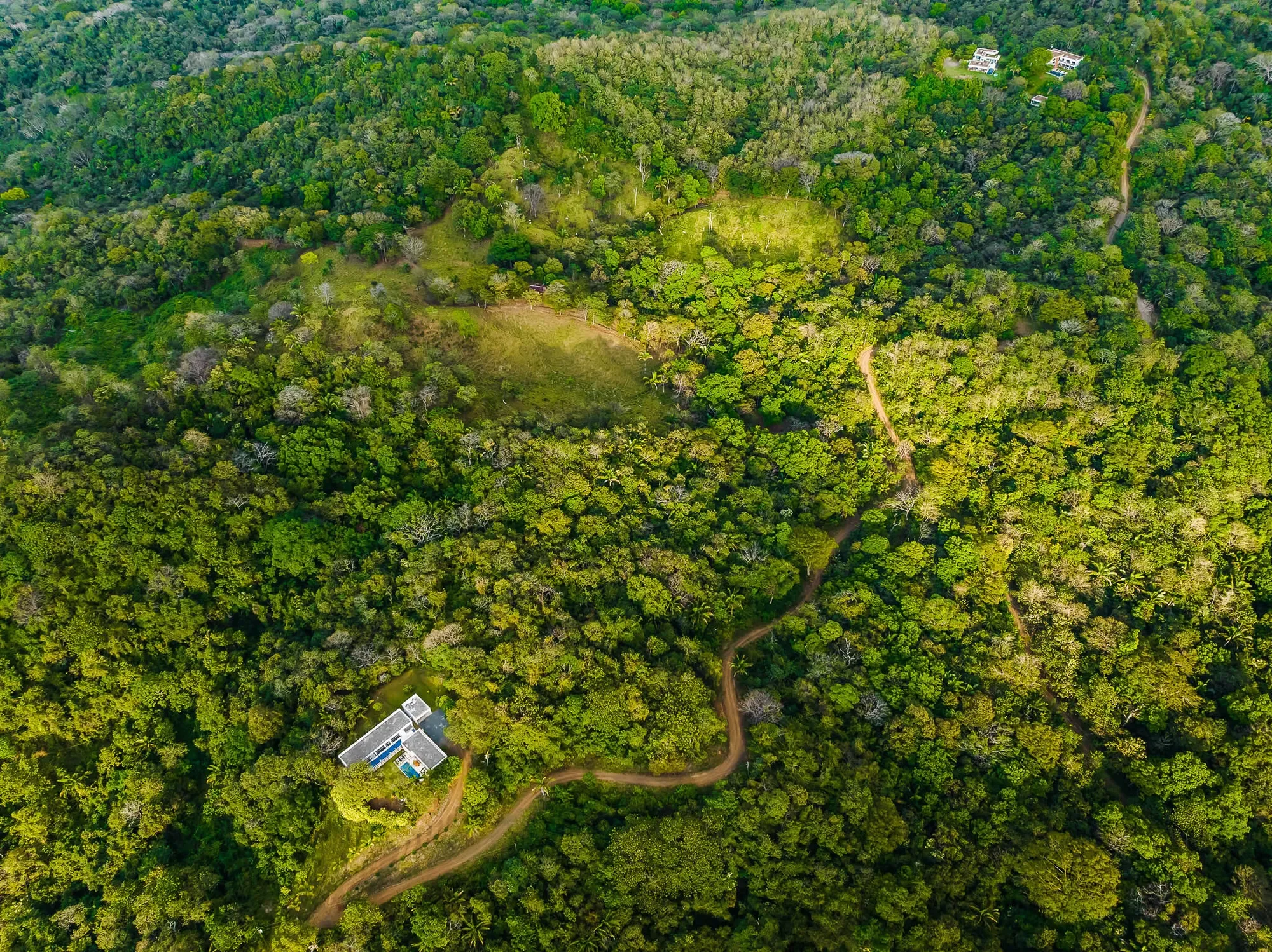 37V6+JFF, Guanacaste Province, Emerald Woods, Costa Rica, Emerald Woods, Guanacaste Province, Costa Rica. - Photo 50