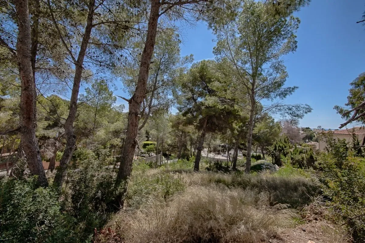 Moraira, Alicante, Moraira, Teulada, Valencian Community. - Photo 8