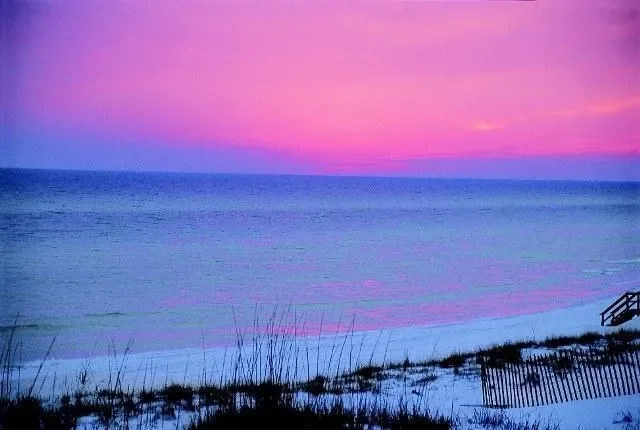 Miramar Beach, Florida, United States. - Photo 35