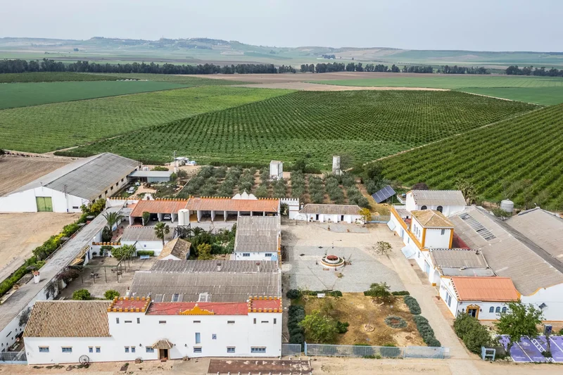 Carmona , Seville, AN 41410, Carmona, Andalusia, Spain. - Photo 8