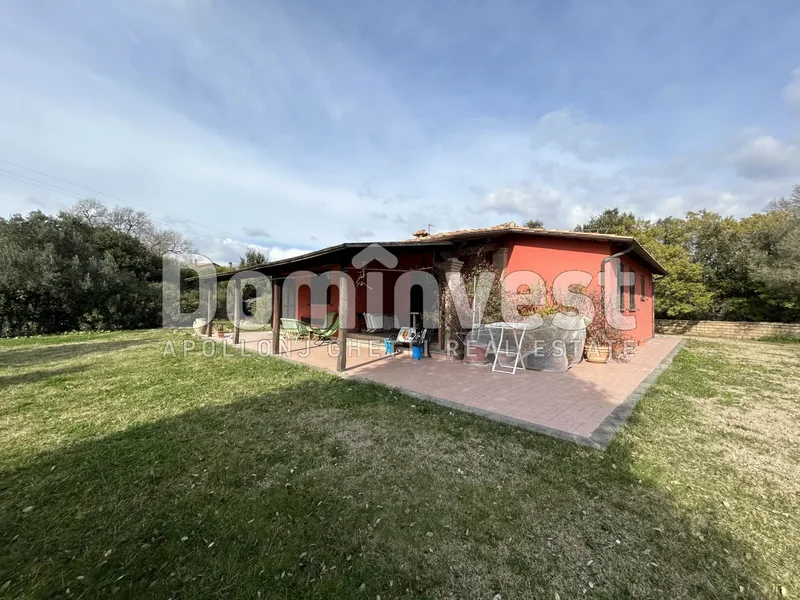strada villa pinciana, Capalbio, Tuscany, Italy. - Photo 3