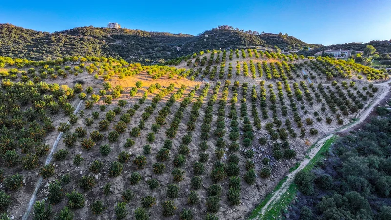 0 Stone Point , Murrieta, CA 92562, Murrieta, California, United States. - Photo 15