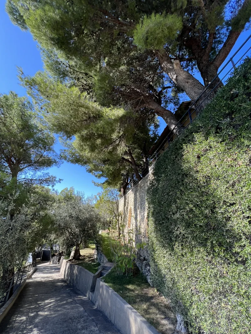 alpes maritimes, Èze, Provence-Alpes-Côte d'Azur, France. - Photo 31