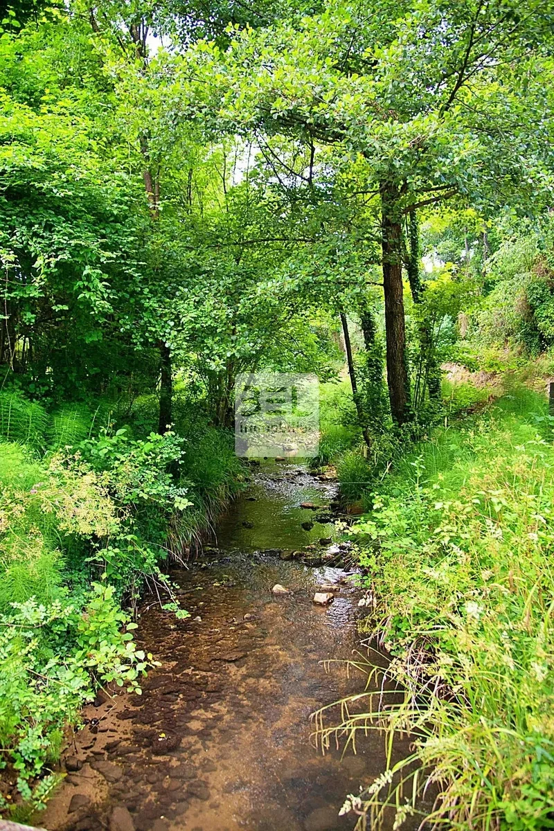 Sabran, Occitanie, France. - Photo 21
