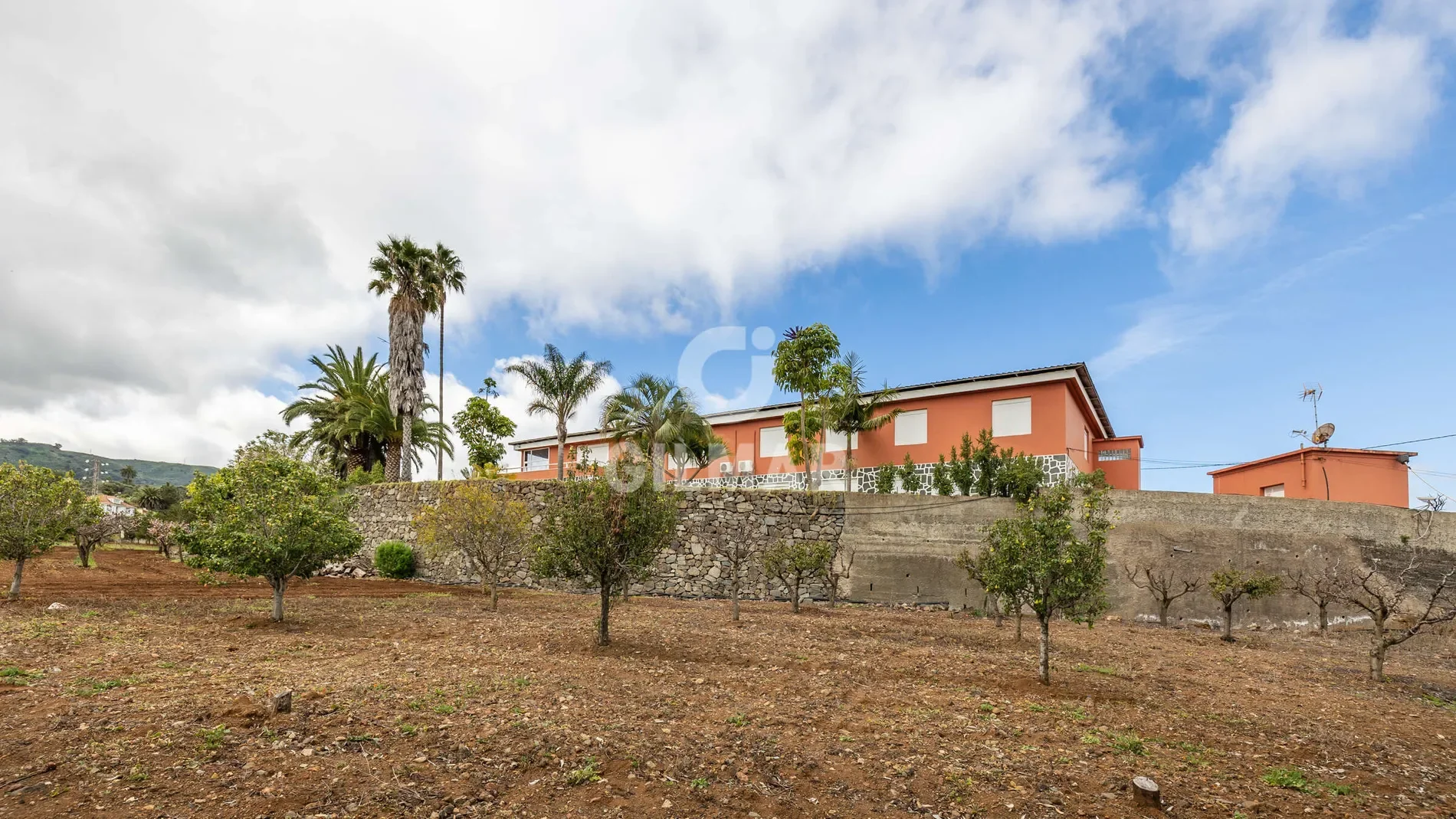 SANTA BRÍGIDA, Las Palmas, SANTA BRÍGIDA, Santa Brigida, Canary Islands, Spain. - Hero Image