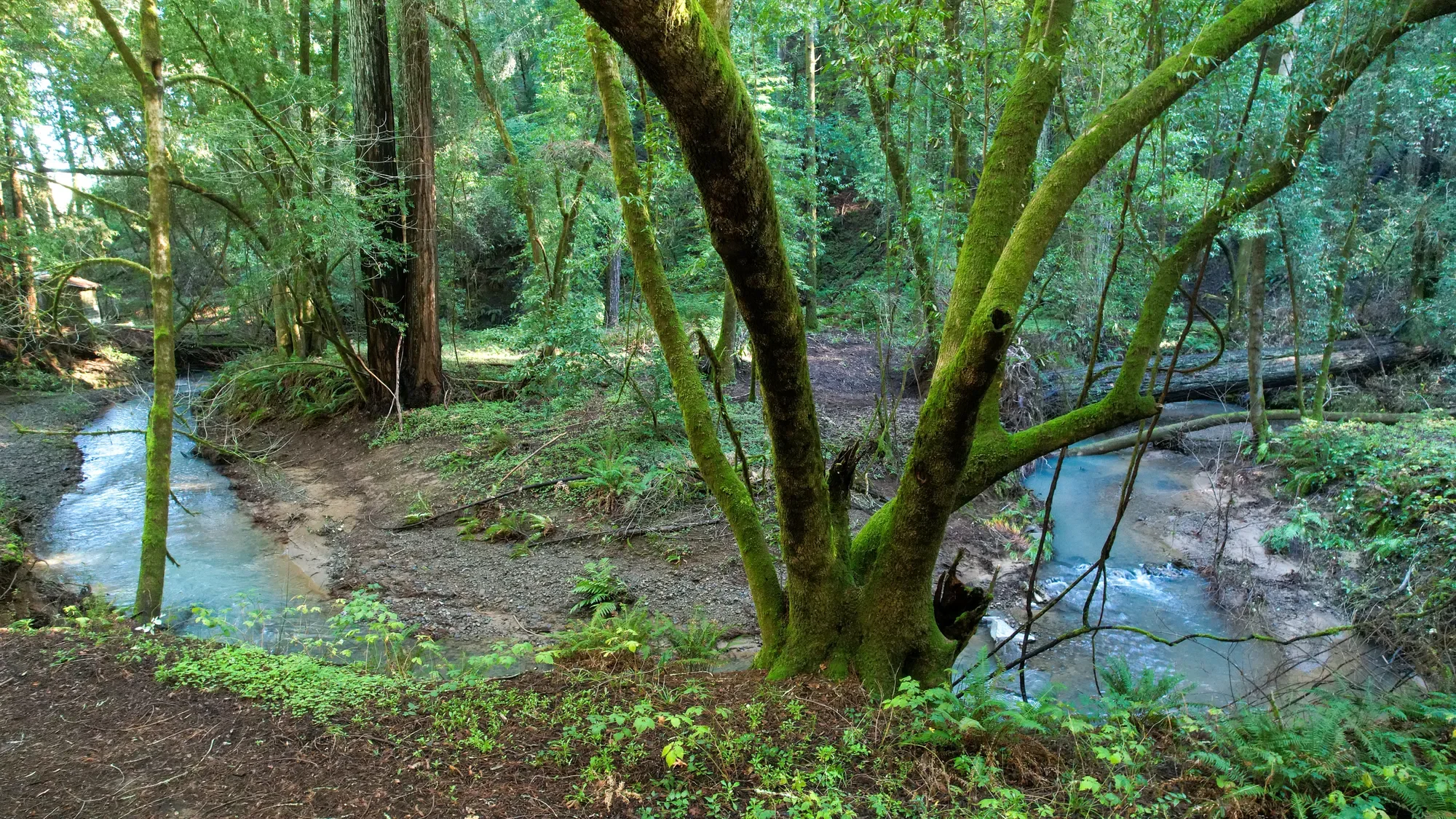 1490 Felta Road , Healdsburg, CA 95448, Healdsburg, California, United States. - Photo 4